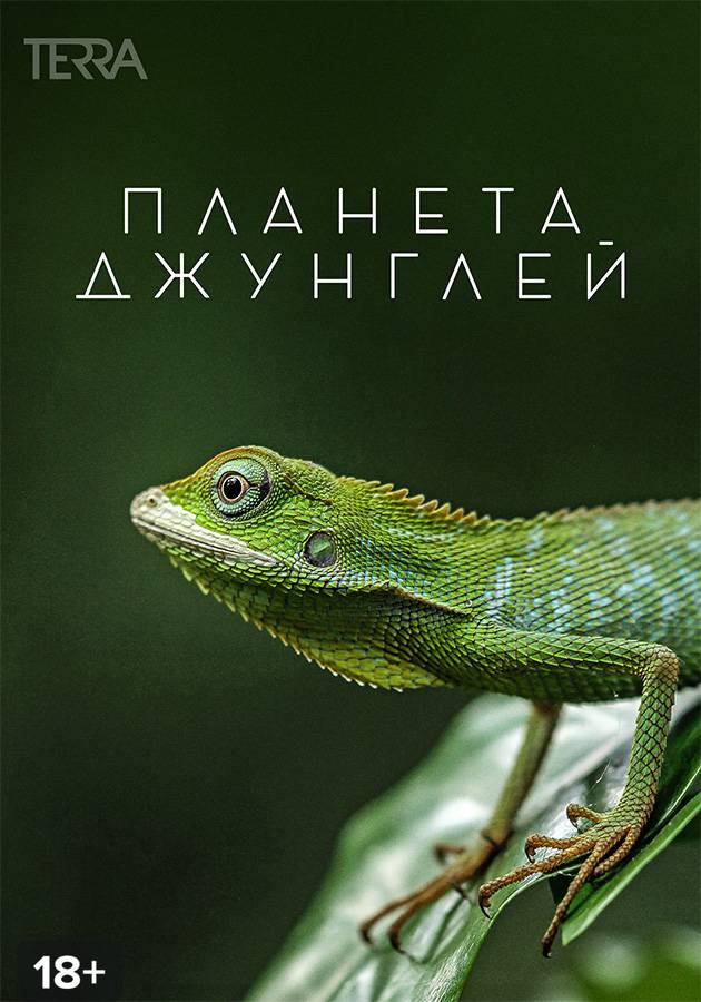 Планета джунглей все. Планета земля джунгли. Планета джунглей все. В лесу, в джунглях. Sci-fi art джунгли.